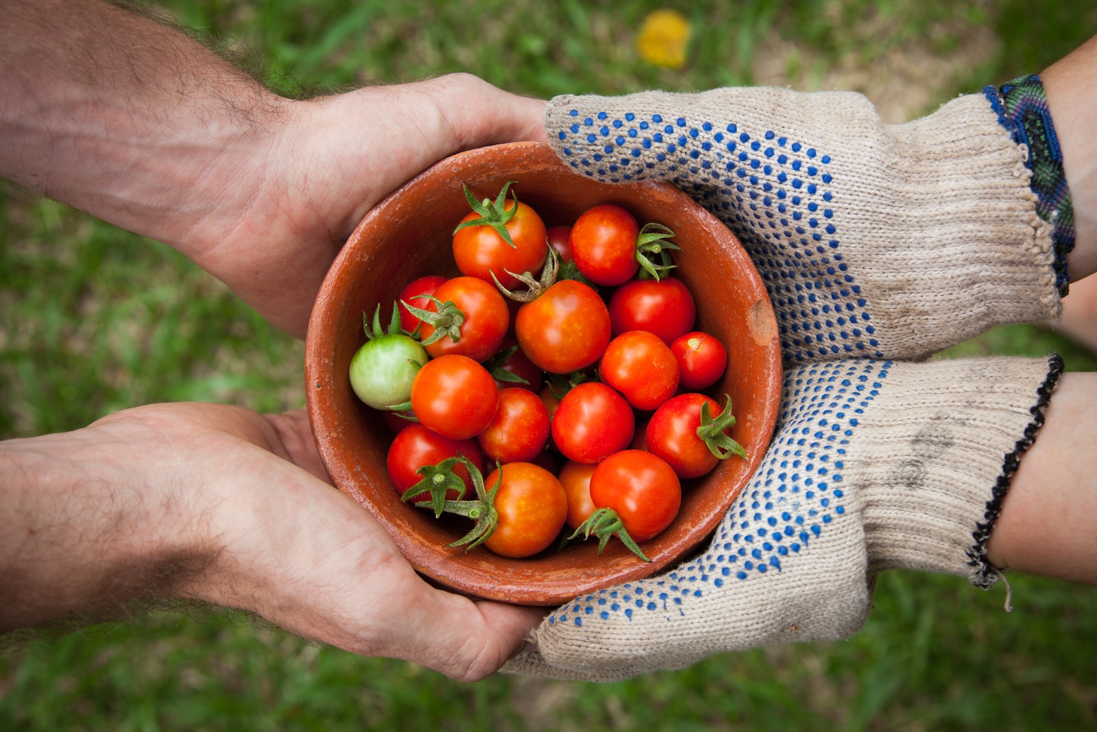 food distribution efficiency